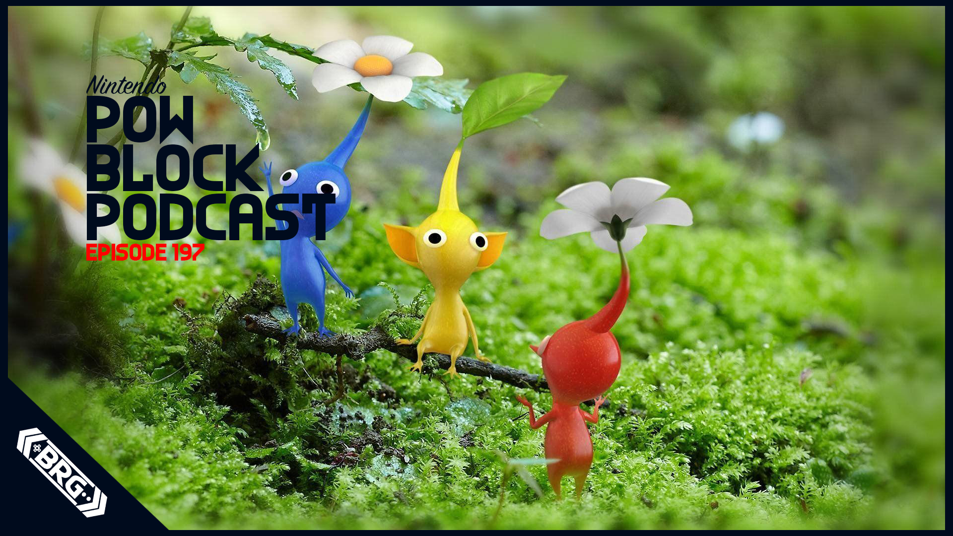 Nintendo Switch Lite Giveaway Details and Amazon’s Mystery Listings – Nintendo Pow Block Episode 197