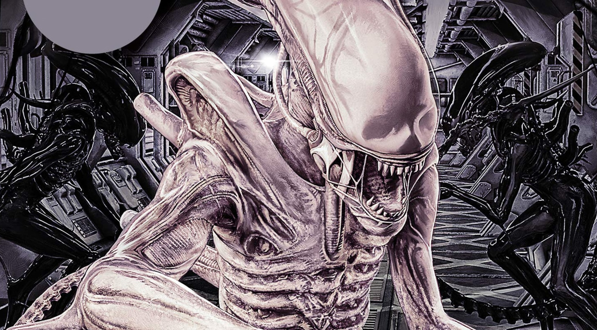 Boss Rush Banter: Should More Studios Commission Novels to Accompany Games?