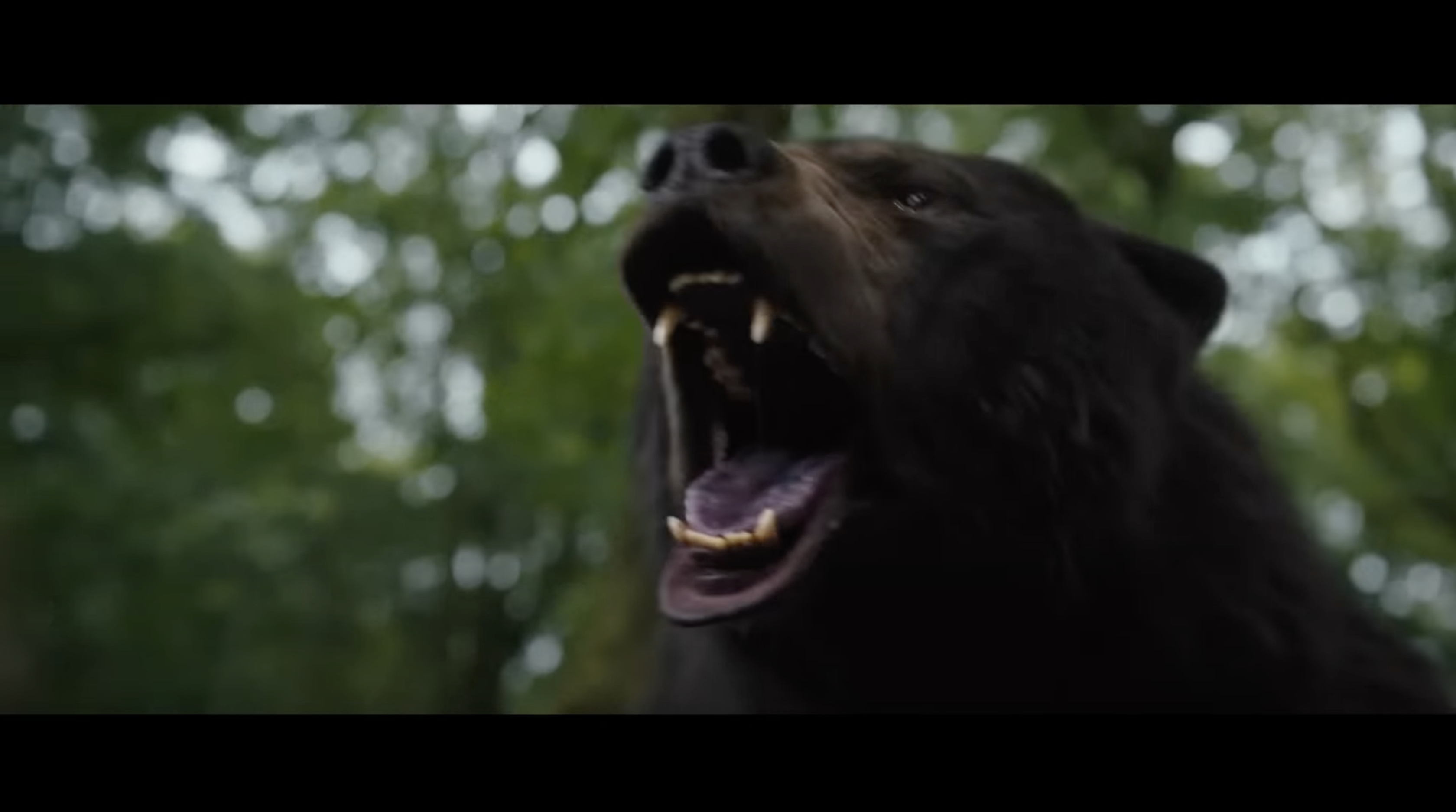 MOVIE REVIEW: Cocaine Bear