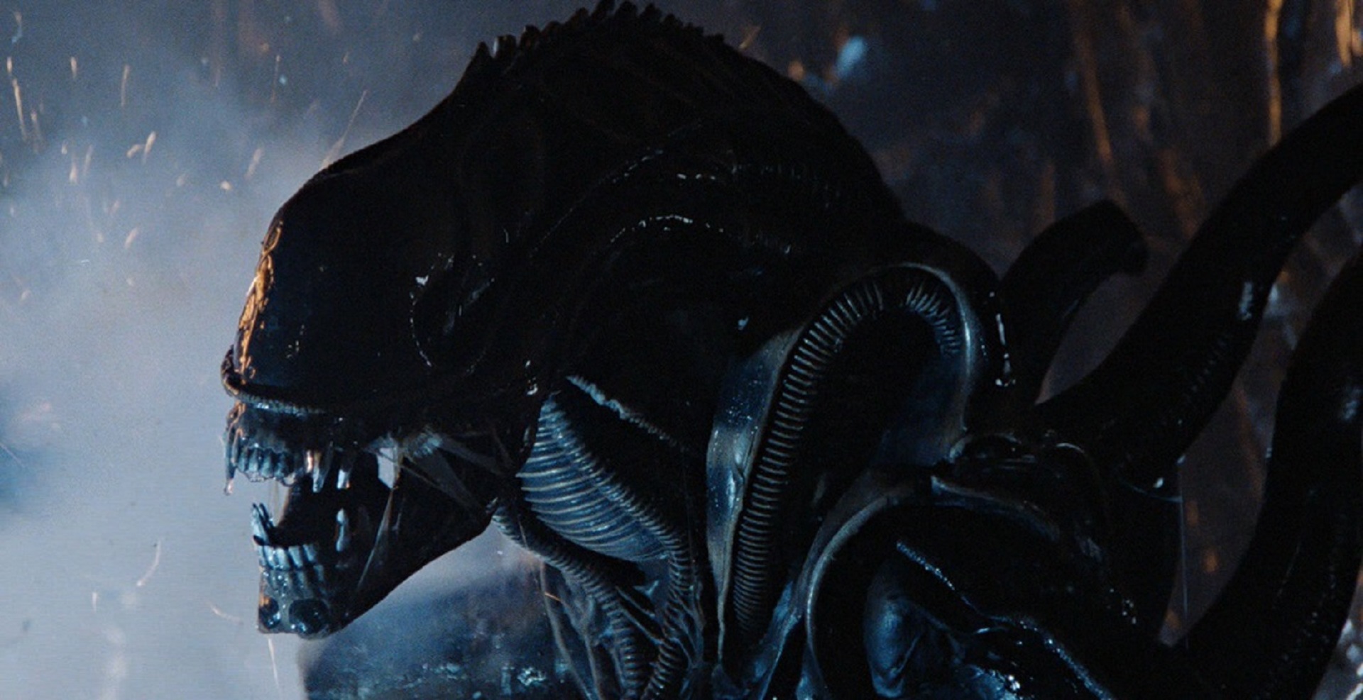 Fede Alvarez’s Alien Film Receives Theatrical Release Date