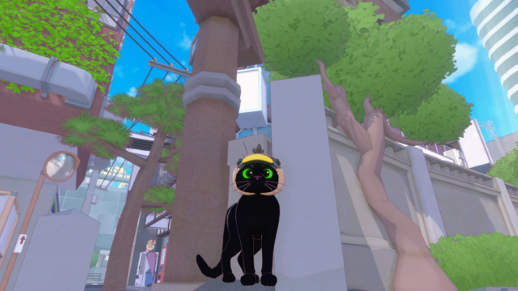 REVIEW: Little Kitty, Big City