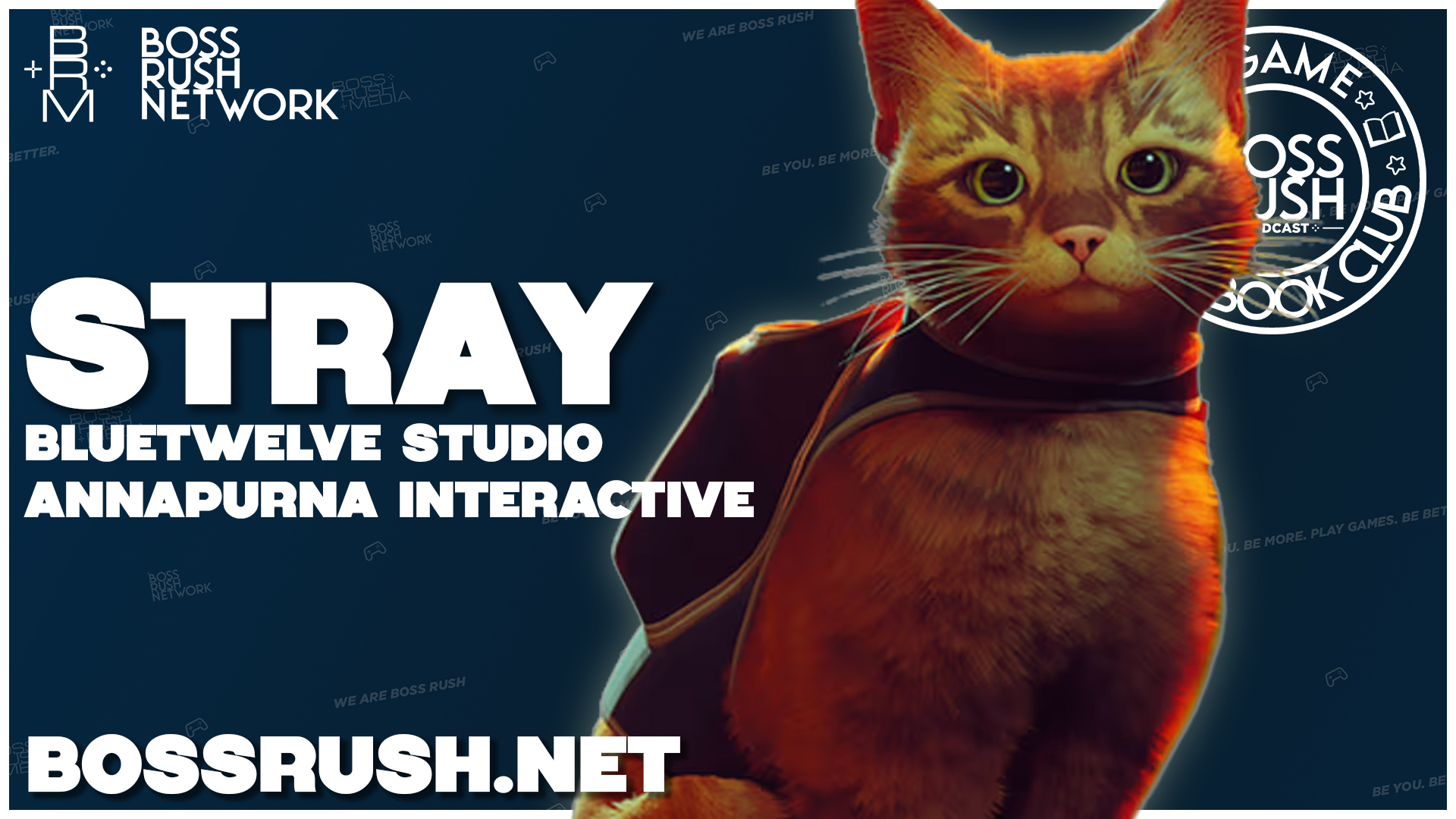 VIDEO GAME BOOK CLUB: Stray Spoilercast and Review Discussion