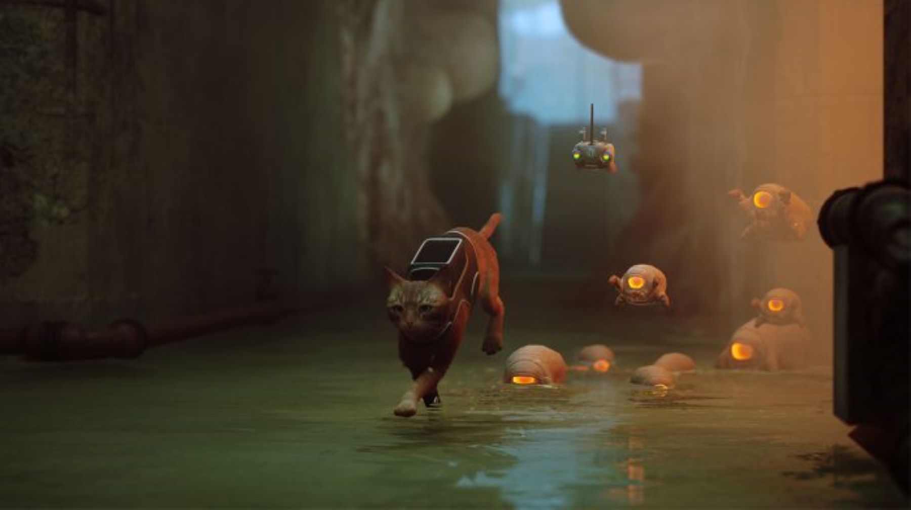 Boss Rush Banter: The Video Game Industry Should Take Note of the Annapurna Walk Out