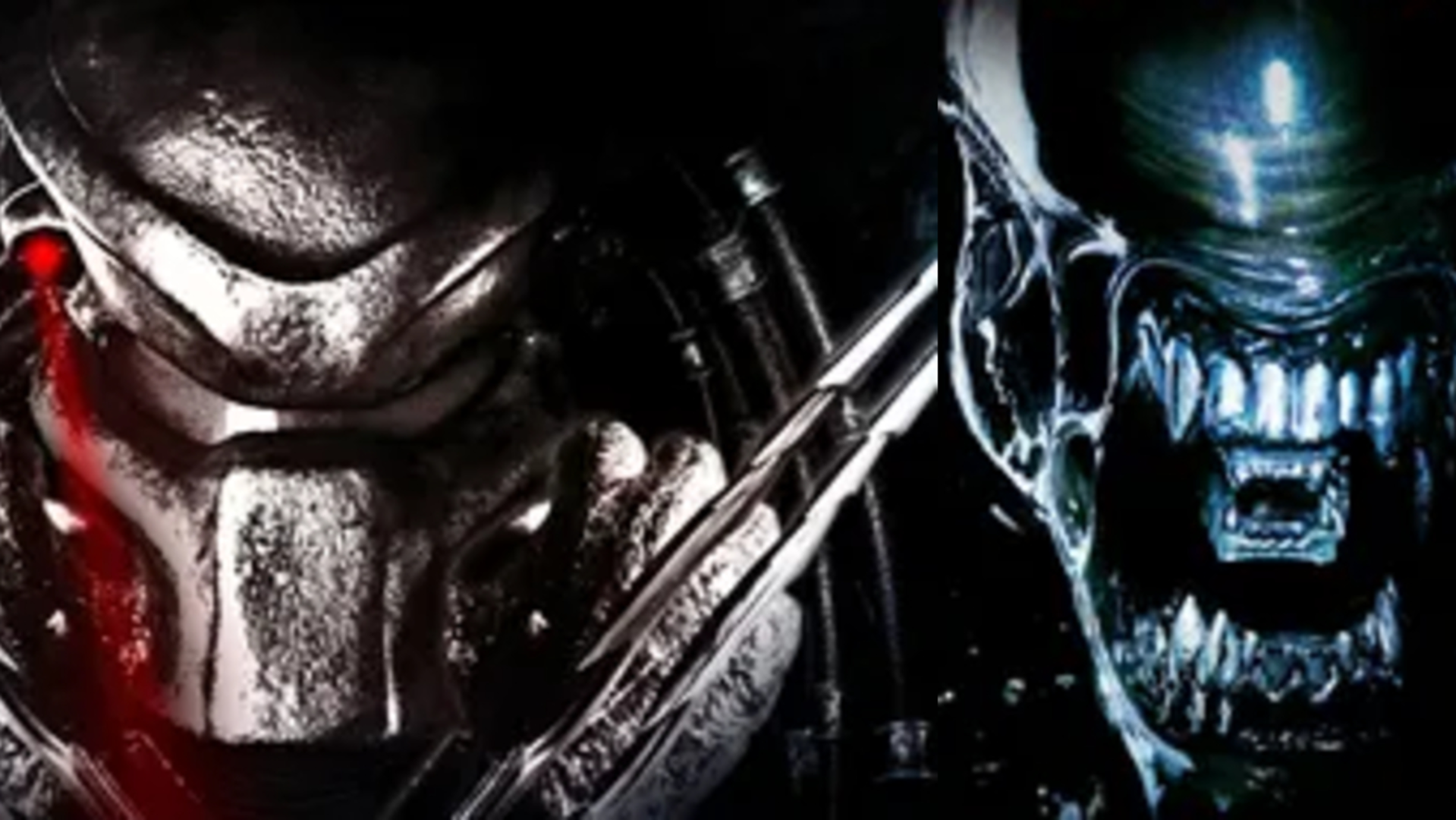 BOOK REVIEW: Thrilling Twists and Iconic Action Make AVP: Rift War a Must-Read for Fans