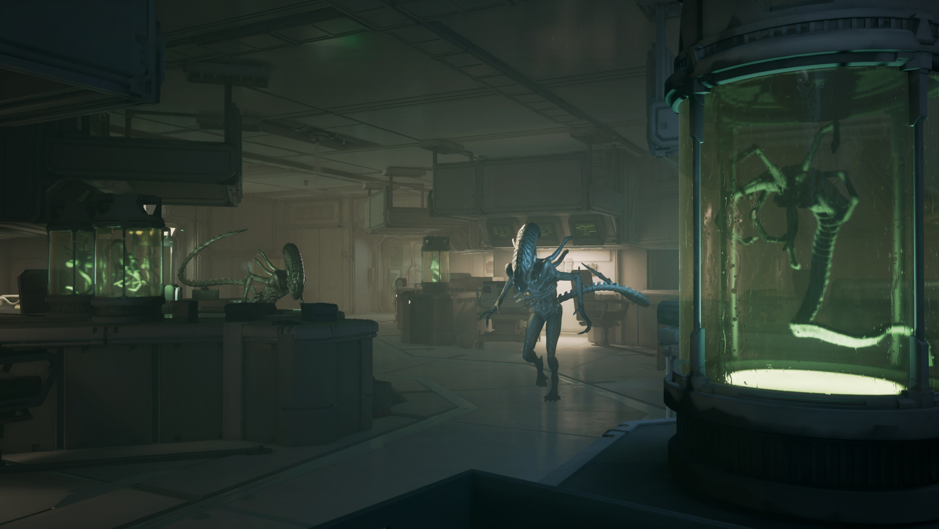 Alien: Rogue Incursion – Part One: Evolved Edition Debuts ‘Evolution’ Trailer at San Diego Comic-Con; Pre-Orders Now Open