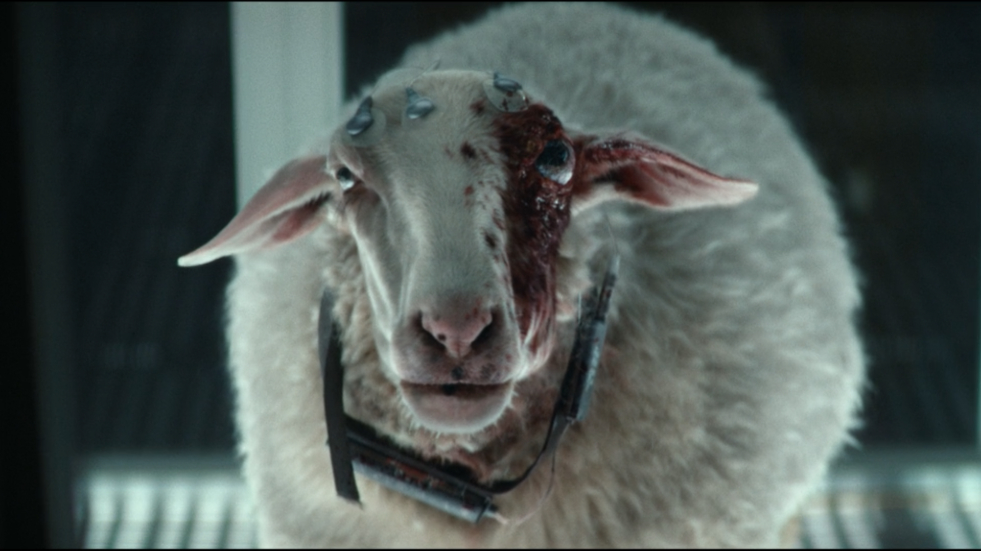 TV REVIEW: Alien: Earth Episode 7 “Emergence”