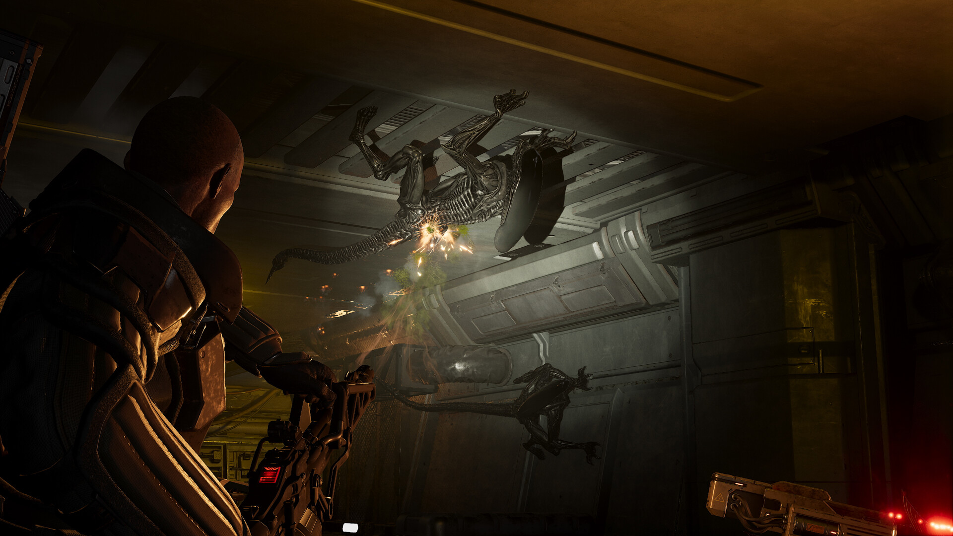 A Colonial Marine fires his weapon at a Xenomorph.
