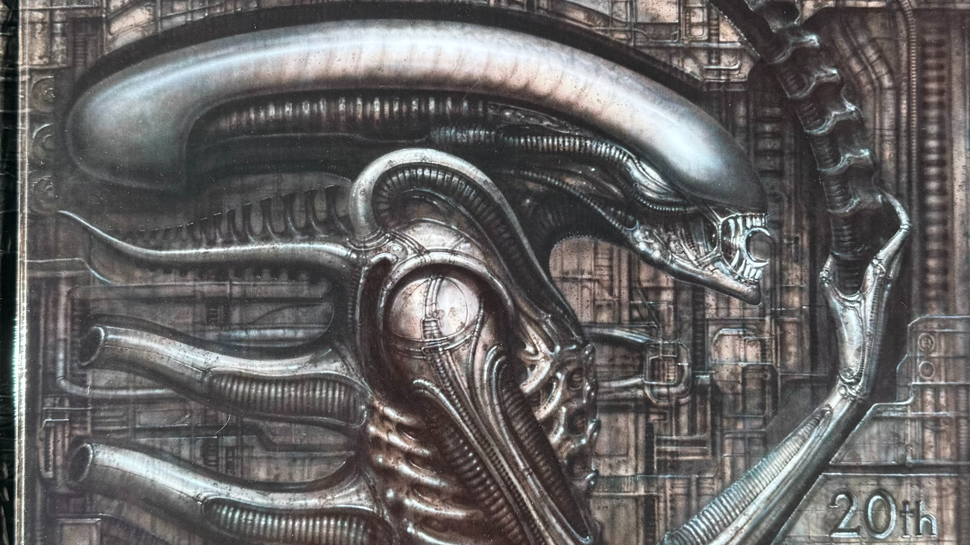 Picture of a Xenomorph
